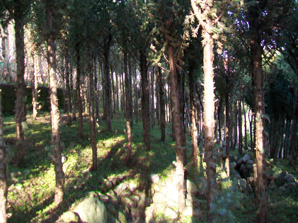 mountain_region_2