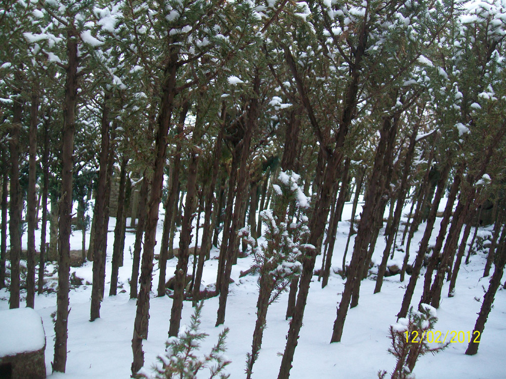 mountain_region_3