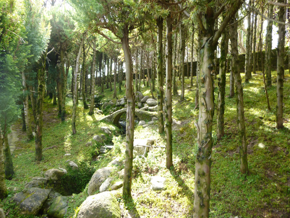 Figure 4. The stream flowing from the top of the hill and forming a small lake