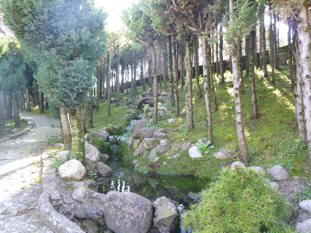 Figure 5. The stream flowing from the top of the hill and forming a small lake