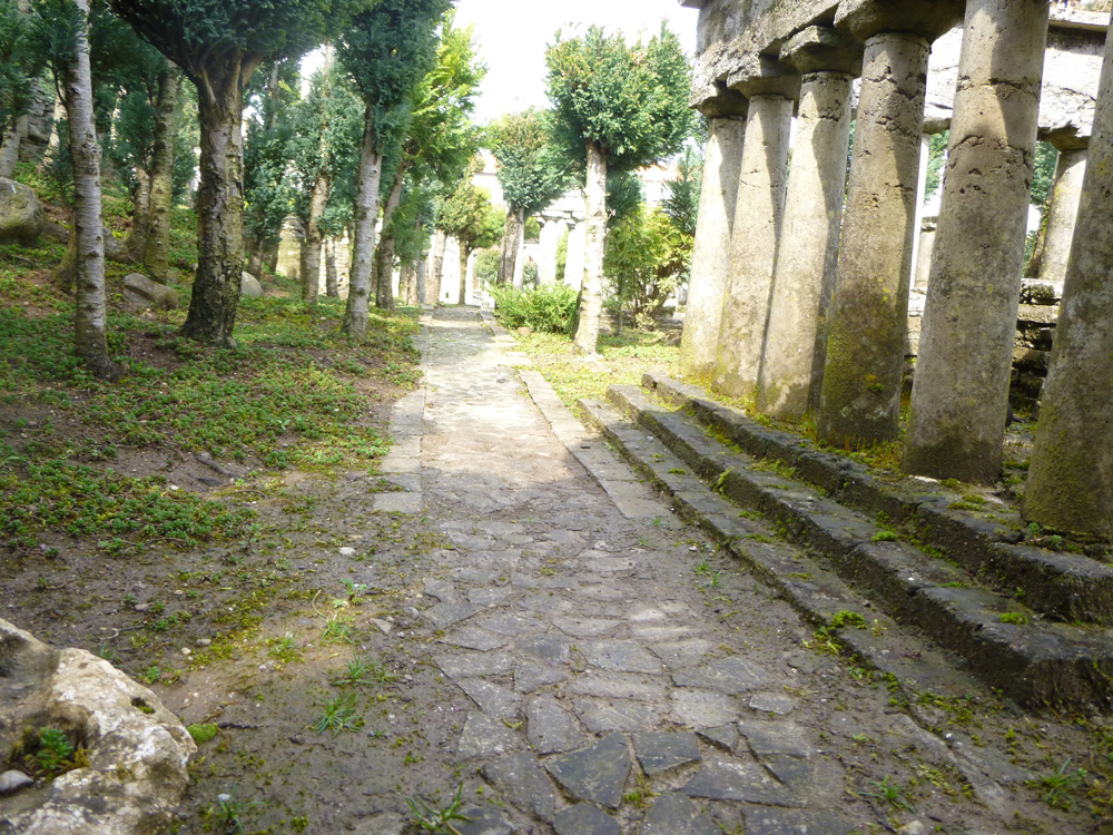 Figure 6. The principal street of the site and the front of the temple of Apollo